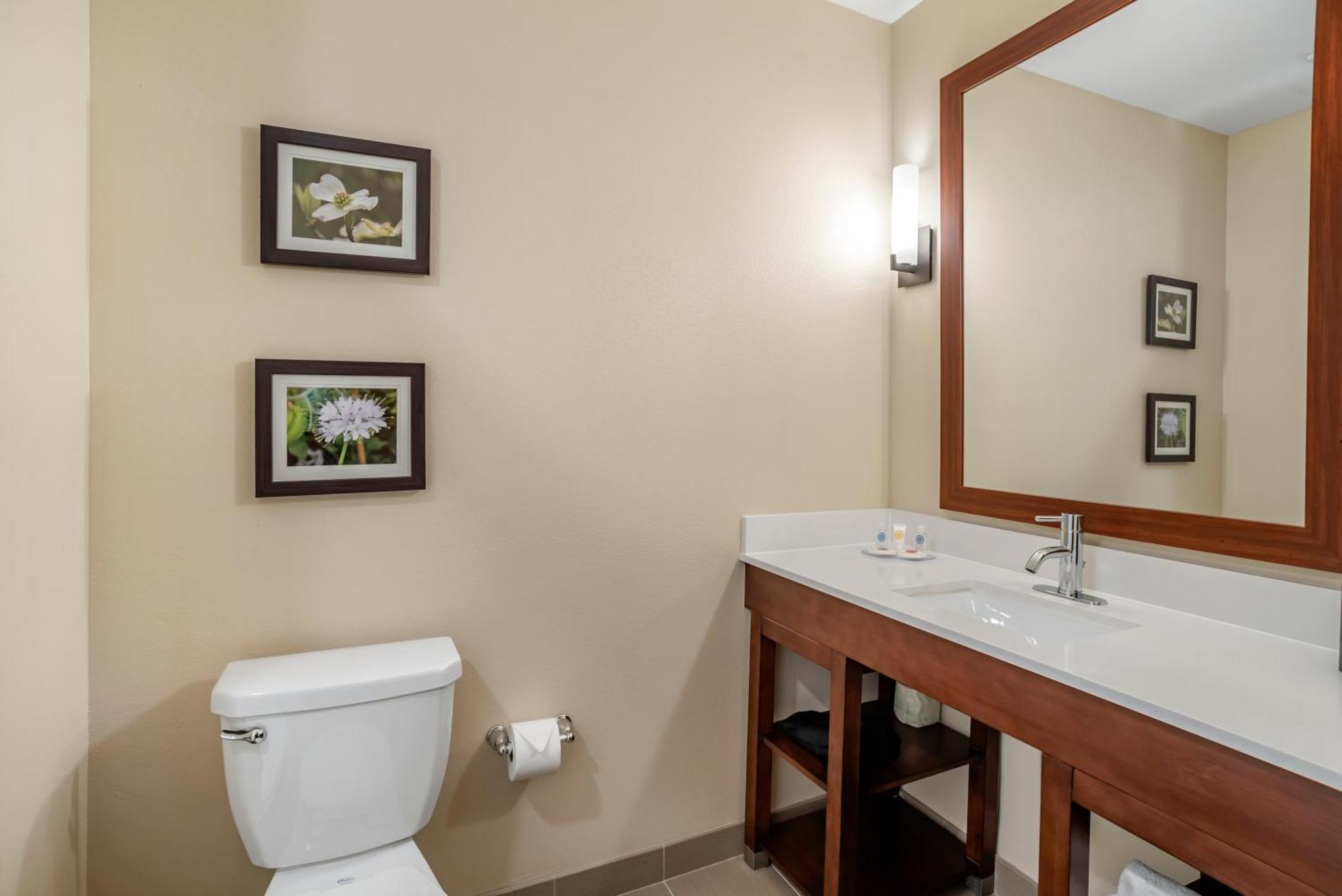 Comfort Inn & Suites Winchester Pokoj fotografie