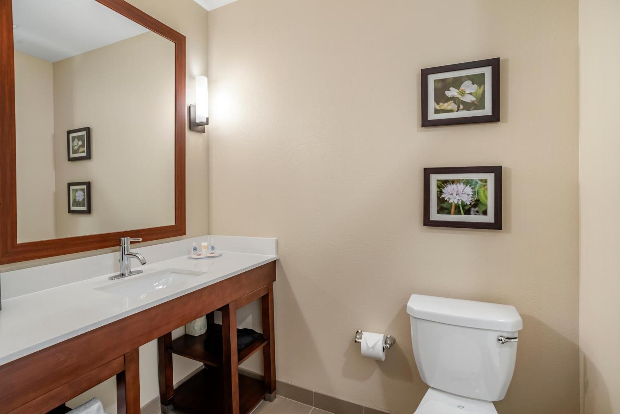 Comfort Inn & Suites Winchester Pokoj fotografie